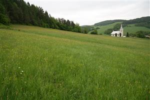záber na biotop zo stredu lúky, smerom k obci Ortuťová