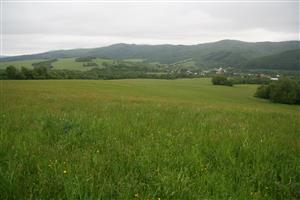 záber na biotop zo severu na juh