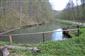 mlok karpatský (17.4.2014)