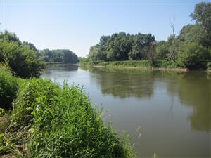Morava 15, r.km