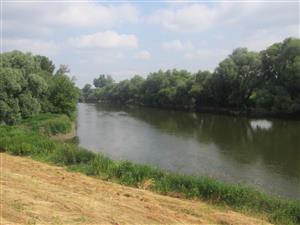 Rieka Morava
