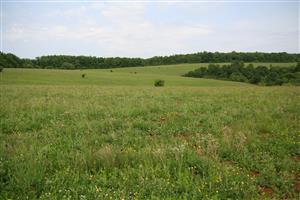 záber na biotop, smer SZ