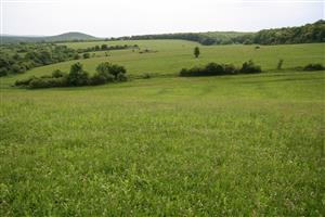 záber na biotop, smer JV