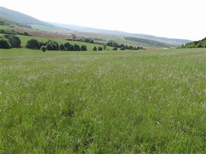 Záber na monitorovaný biotop.