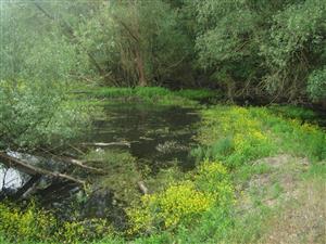 Velka hruda