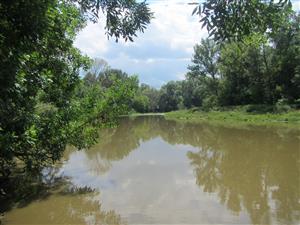 Meander