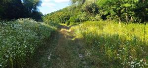 Pohľad na časť lokality