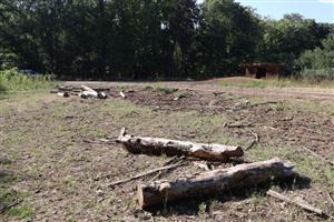 TML Leliansky les, vrcholové dubiny, tri Studničky, foto: 31.7.2025, J.Lengyel.Pohľad na časť lesoskládky.