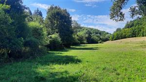 TML v strednej časti s intenzívnym pasením a kosením.