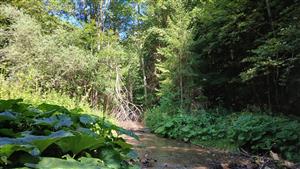 Pohľad na TML horná časť