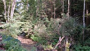 Pohľad na TML - spodná časť