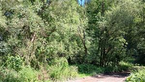 Pohľad na TML - horná časť