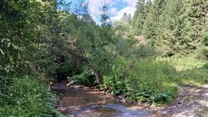 Pohľad na TML - stredná časť