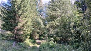 Pohľad na TML - horná časť