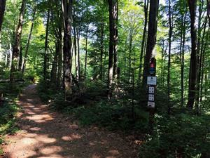 Pohľad na TML Stužica