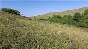 Záber na monitorovaný biotop.