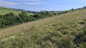 Záber na monitorovaný biotop.