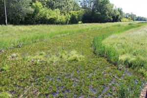 tml - pohľad od čerpačky