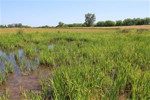 tml - časť s potenciálne vhodným biotopom