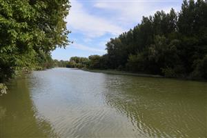 Pohľad na strednú časť TML Medveďovské rameno. Foto: 4.8.2025, J. Lengyel.