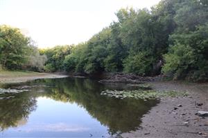 Pohľad na časť TML NPR Apáli, staré rameno Nitry. Foto: 18.8.2025, J.Lengyel.