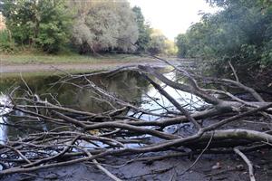 Pohľad na TML NPR Apáli, rameno Nitry, foto: 18.8.2025, J.Lengyel.