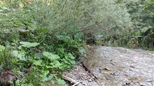 Pohľad na TML - spodná časť