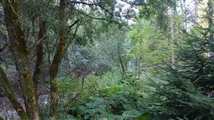 Pohľad na TML - stredná časť