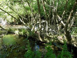 Pohľad na časť TML