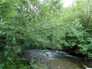 Pohľad na časť TML