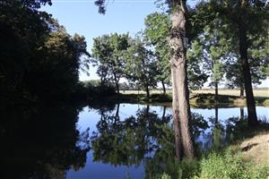 Pohľad na TML Veľký les, JV jazierko. Foto: 26.8.2025. J.Lengyel.