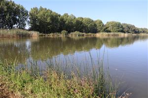 Pohľad na JV časti, I južný rybník. TML Číčovské rybníky. Foto: 27.8.2025, J.Lengyel.