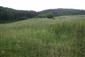 Suchomilné travinnobylinné a krovinové porasty na vápnitom podloží (*dôležité stanovištia Orchideaceae) (23.5.2015)