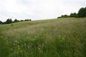 záber na biotop, smer JZ