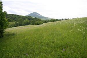 Záber na biotop, smer JV