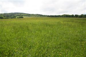 záber na biotop smer V-Z