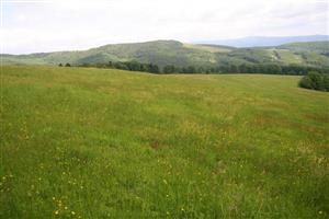 záber na biotop v smere Z-V