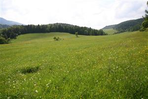 záber na biotop, smer JZ