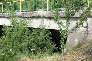 Pohľad na TML_LutrLutr_059 - Jar 2015