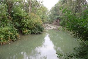 Pohľad na časť TML Čiližský potok, SZ od Gabčíkova. Foto: 28.8.2025, J.Lengyel.