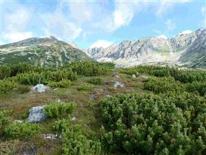 Pohľad na hornú časť TML