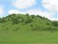 modráčik čiernoškvrnný (28.5.2015)