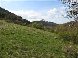 Pohľad na lokalitu TML_ErioCata_008