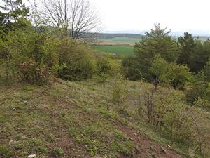 Pohľad na lokalitu TML_ErioCata_014