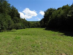 Pohľad na lokalitu TML_CallQuad_005