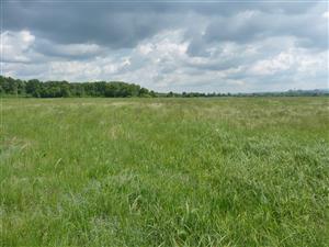 Pohled směrem k letišti