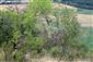 Záber na TMP