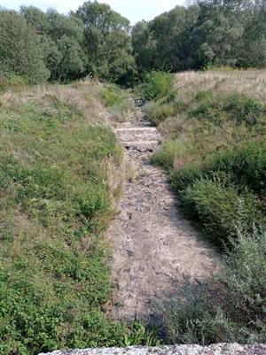 vyschnutá časť TML