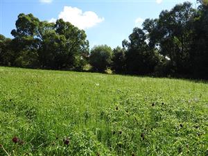 pohľad na TML_MacuNaus_006