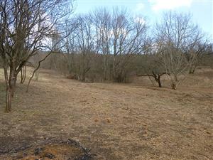 	pohľad na TML_MacuNaus_007 čistenie marec 2025